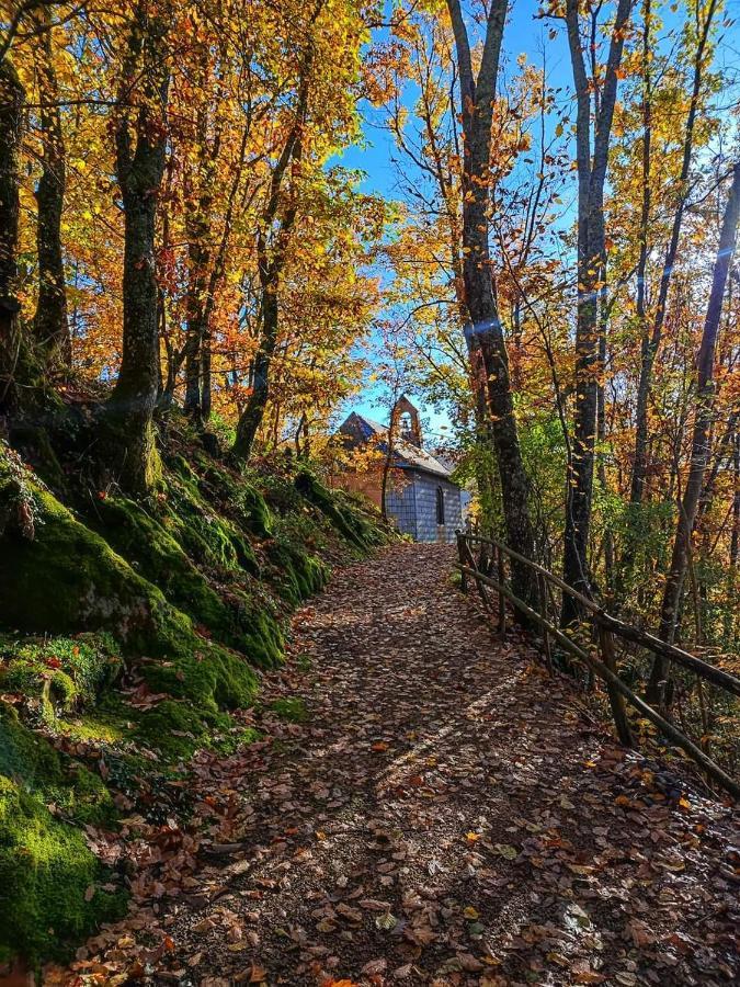 Gite A La Source Breitenbach Exterior photo